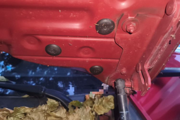 Used BMW 1 Series 2012 118i Sport Edition Engine Bay Left