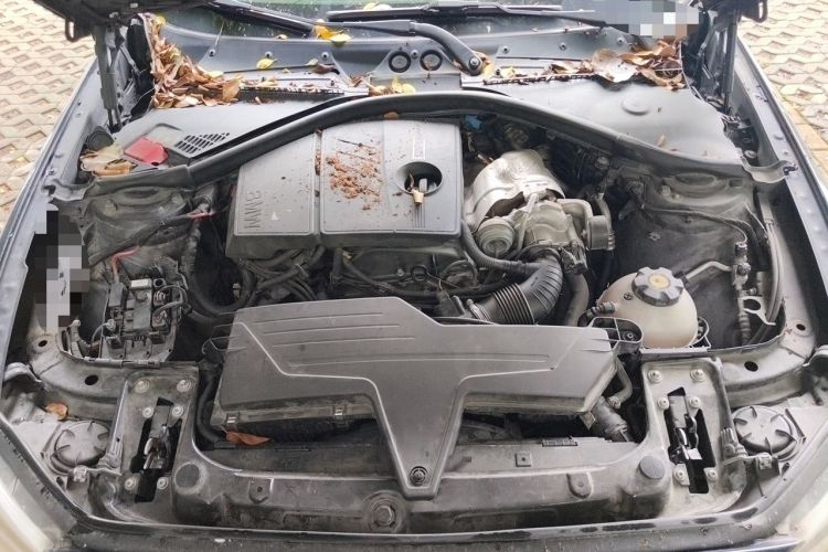Used BMW 1 Series 2013 Revised 116i Leading Edition Engine Bay