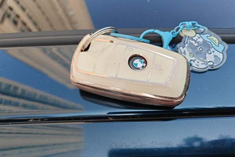 Used BMW 1 Series 2016 118i Leading Model Vehicle Key