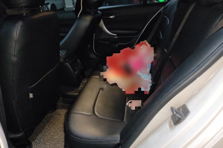 Used BMW 1 Series 2016 118i Leading Model Left Rear Seat