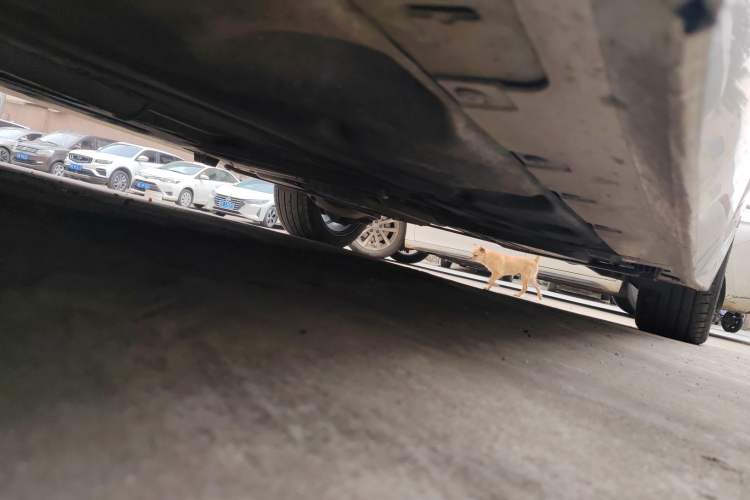 Used BMW 1 Series 2017 118i Sport Edition Chassis Front Left