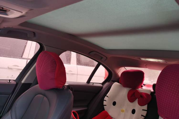 Used BMW 1 Series 2017 118i Sport Edition Headliner