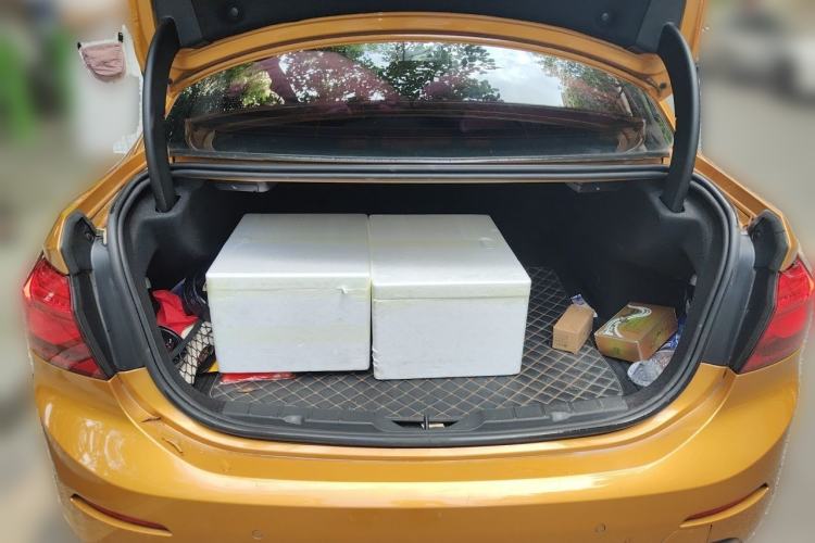 Used BMW 1 Series 2017 118i Design Package Model Trunk