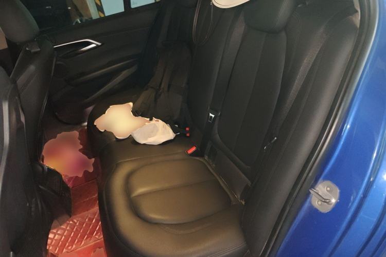 Used BMW 1 Series 2018 Facelifted 118i Sport Edition Left Rear Seat