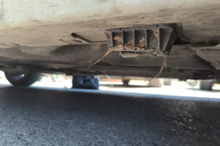 Used BMW 1 Series 2018 118i Sport Edition Chassis Front Right