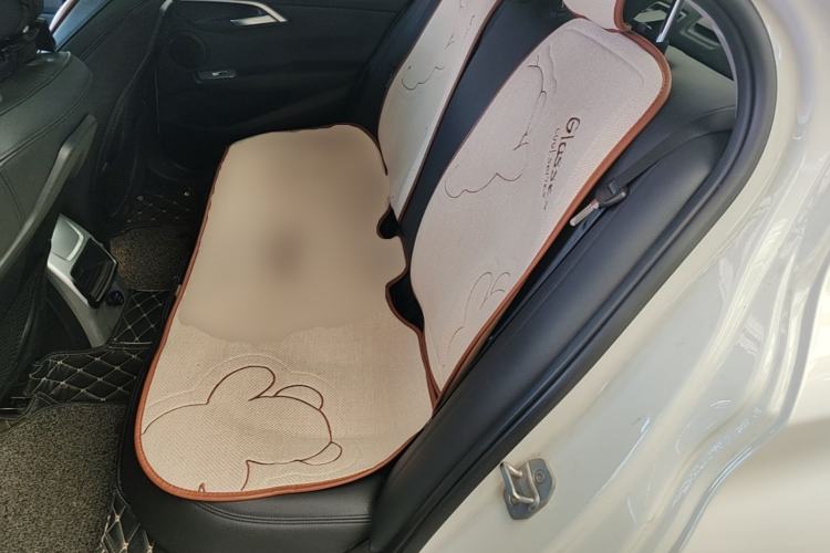 Used BMW 1 Series 2018 118i Sport Edition Left Rear Seat