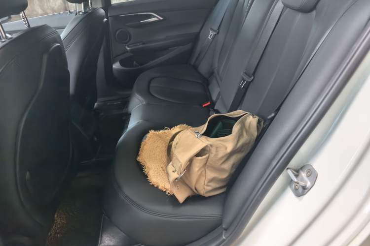 Used BMW 1 Series 2018 Facelifted 118i Sport Edition Left Rear Seat