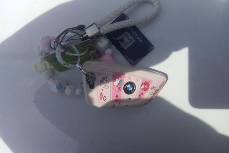 Used BMW 1 Series 2018 118i Fashion Model Vehicle Key