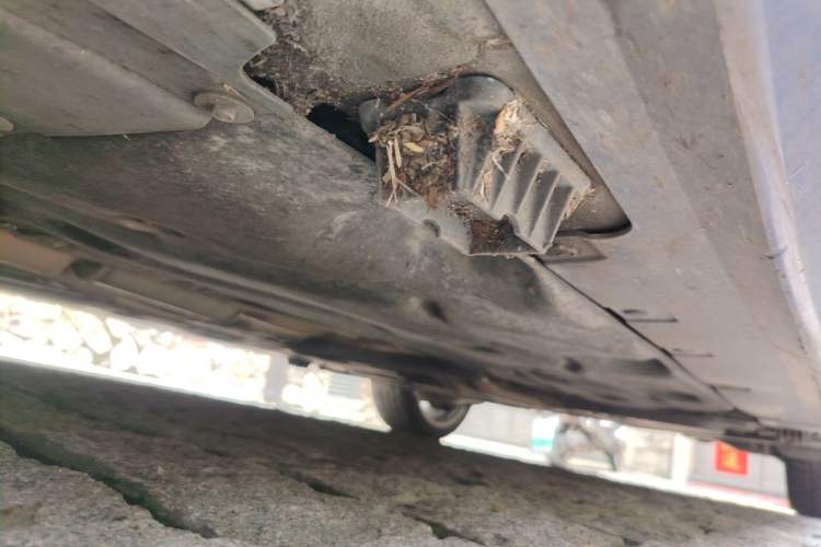 Used BMW 1 Series 2019 120i Leading Model M Sport Package Chassis Front Left