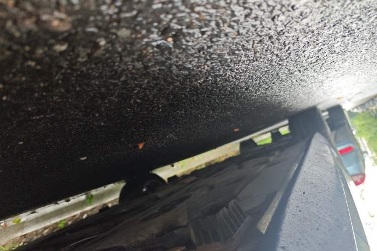 Used BMW 1 Series 2019 118i M Sport Package Chassis Rear Left