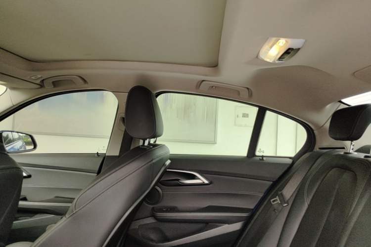 Used BMW 1 Series 2019 118i M Sport Package Headliner