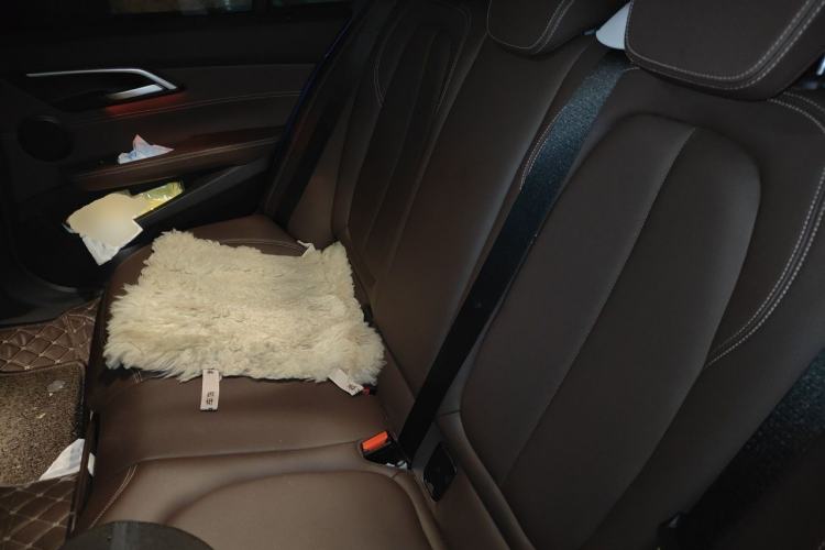 Used BMW 1 Series 2019 118i M Sport Package Left Rear Seat