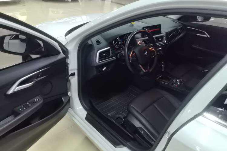 Used BMW 1 Series 2019 118i Fashion Model Driver Seat