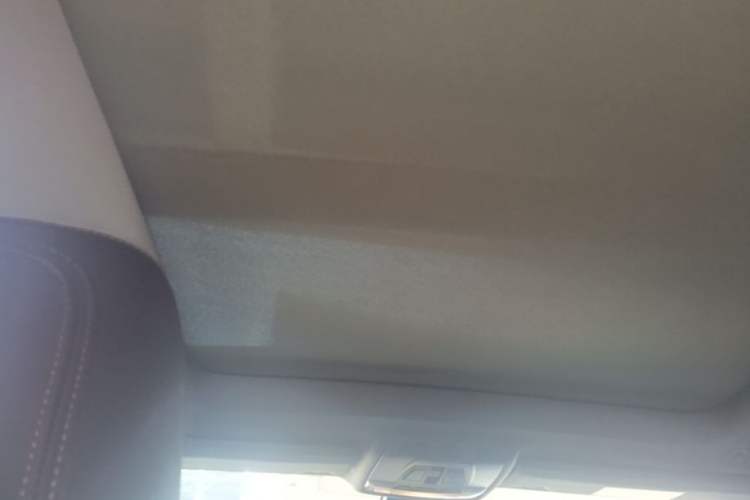 Used BMW 1 Series 2019 118i M Sport Package Headliner