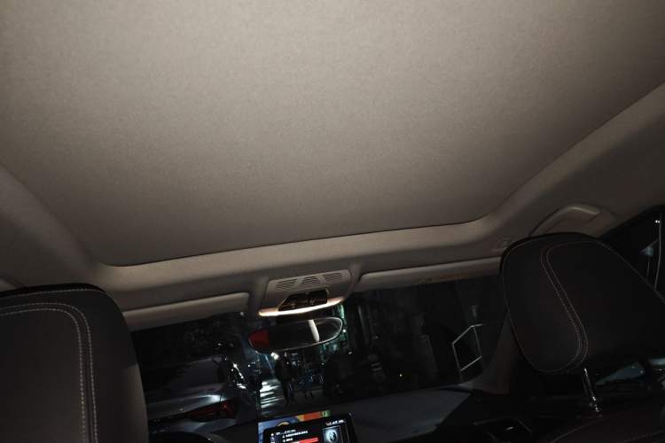 Used BMW 1 Series 2019 118i M Sport Package Headliner