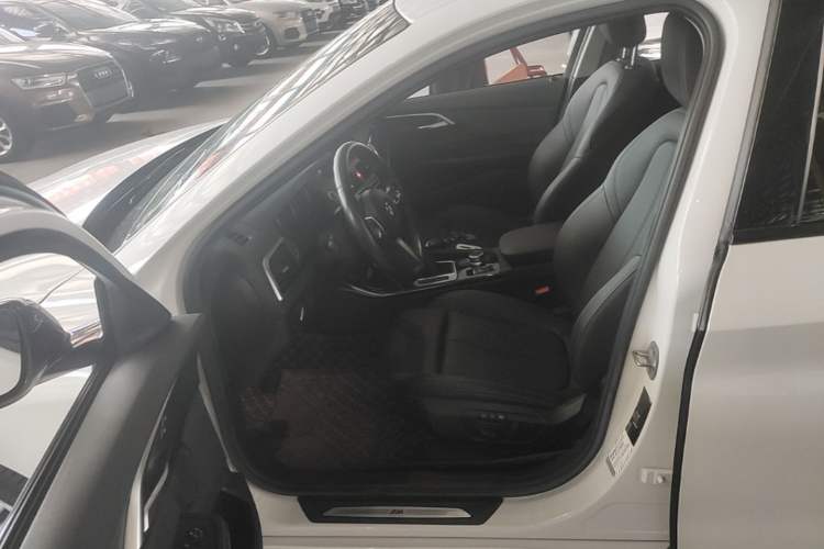 Used BMW 1 Series 2019 118i M Sport Package Left Front Seat