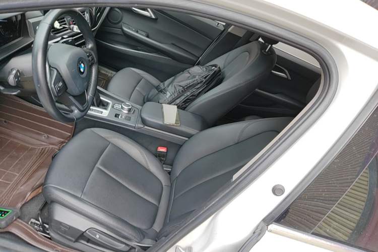 Used BMW 1 Series 2019 118i Fashion Model Left Front Seat