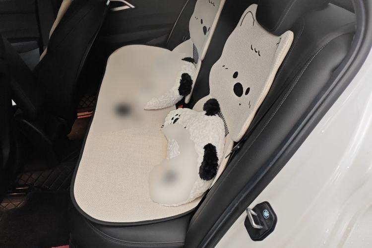 Used BMW 1 Series 2019 118i M Sport Package Left Rear Seat