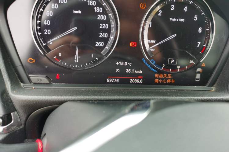 Used BMW 1 Series 2019 118i Fashion Model Odometer Close Up