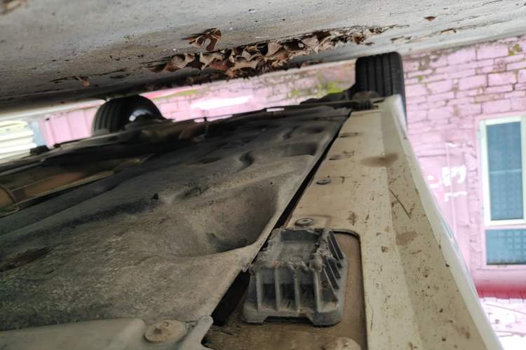 Used BMW 1 Series 2019 118i Fashion Model Right Side Sill