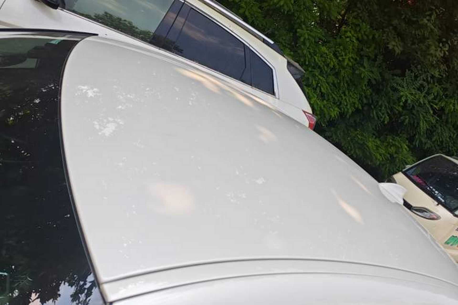 Used BMW 1 Series 2019 118i Fashion Model Roof