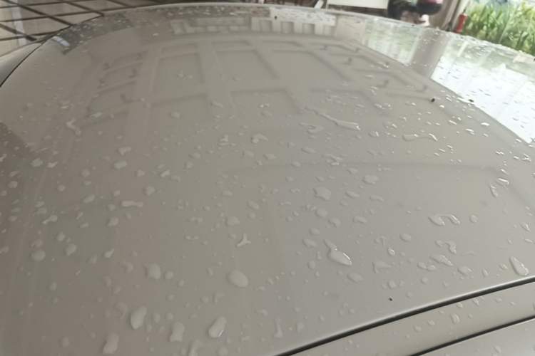 Used BMW 1 Series 2019 118i Fashion Model Roof