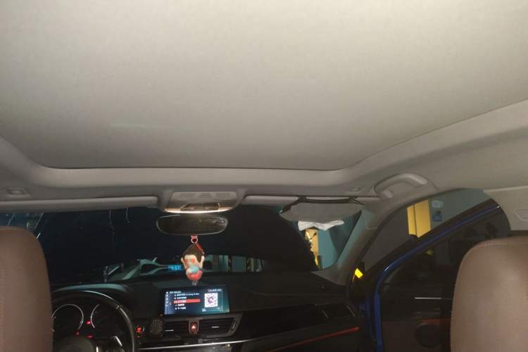 Used BMW 1 Series 2020 125i Leading Model M Sport Package Headliner