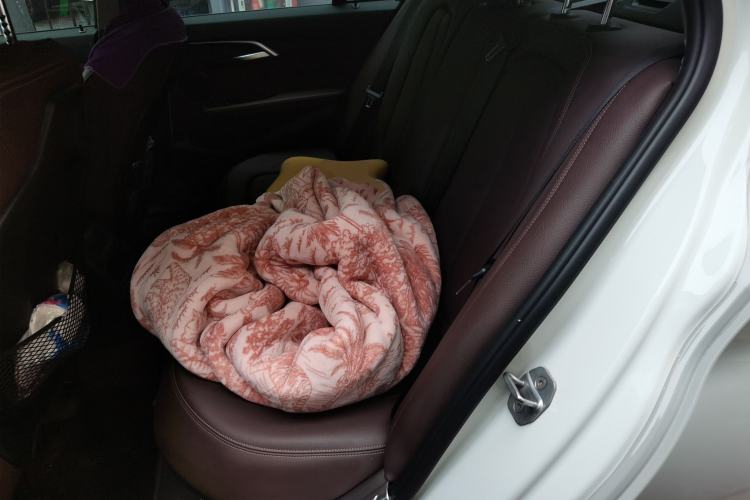 Used BMW 1 Series 2020 120i M Sport Package Left Rear Seat