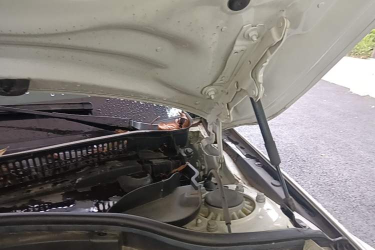 Used BMW 1 Series 2020 120i M Sport Package Engine Bay Left