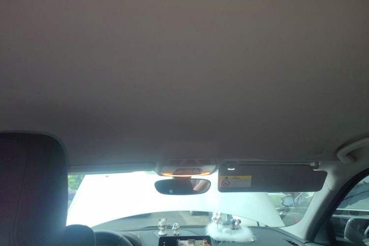 Used BMW 1 Series 2020 120i Fashion Model Headliner