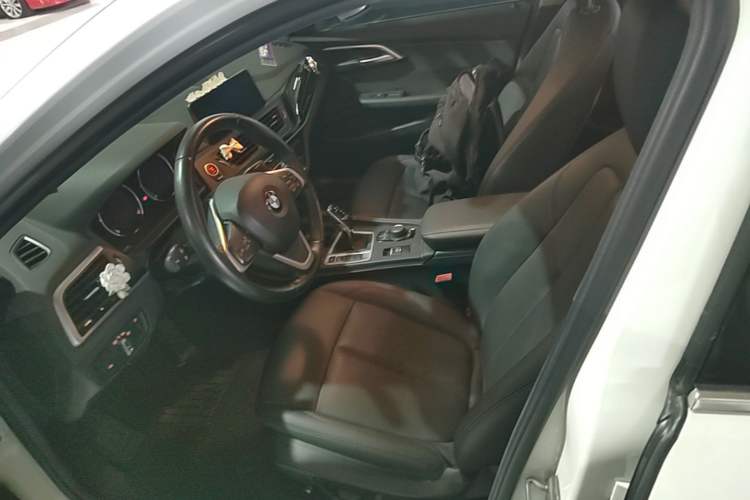 Used BMW 1 Series 2020 120i Fashion Model Left Front Seat