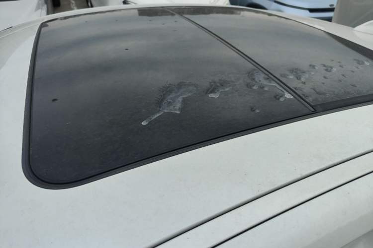 Used BMW 1 Series 2020 120i M Sport Package Roof
