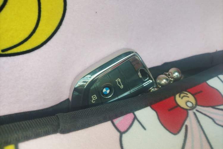 Used BMW 1 Series 2020 120i M Sport Package Vehicle Key