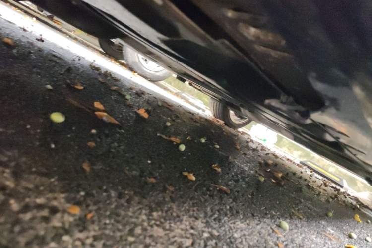 Used BMW 1 Series 2021 Revised 120i M Sport Night Edition Chassis Front Left