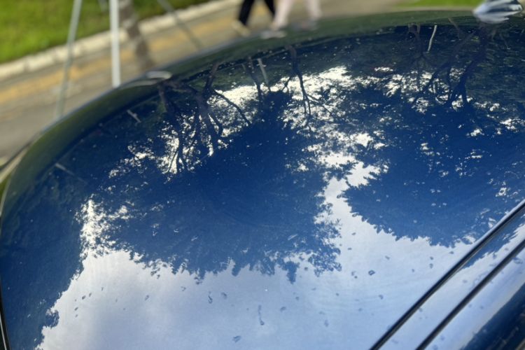 Used BMW 1 Series 2021 120i M Sport Edition Roof