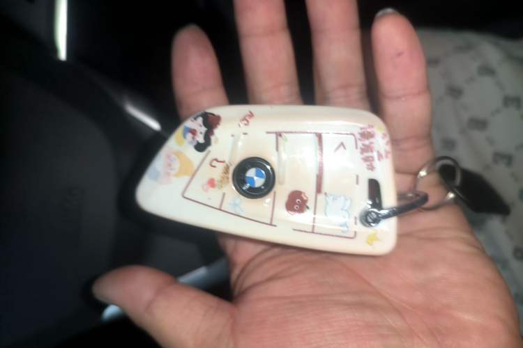 Used BMW 1 Series 2022 120i M Sport Edition Vehicle Key