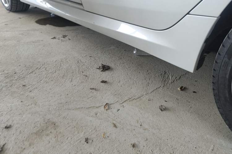 Used BMW 1 Series 2022 125i M Sport Night Edition Left Side Sill