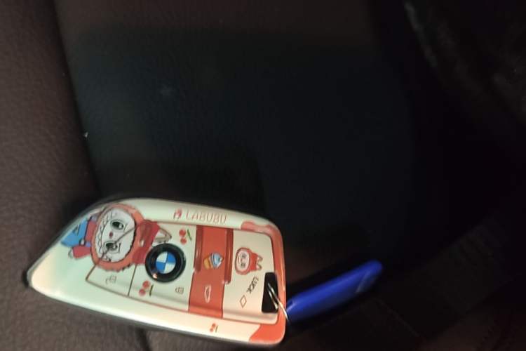 Used BMW 1 Series 2022 120i M Sport Edition Vehicle Key