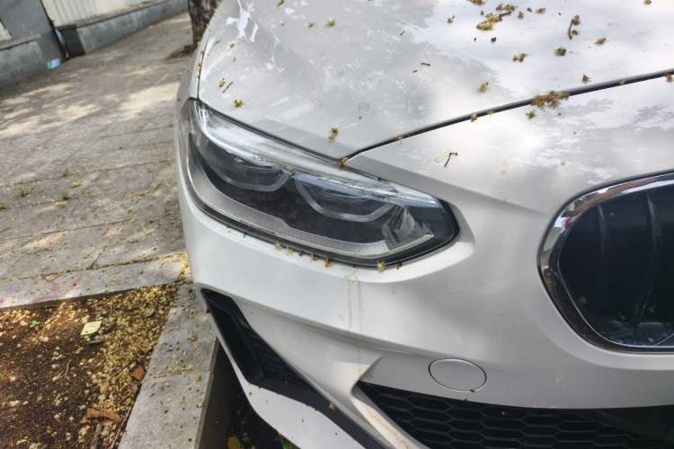 Used BMW 1 Series 2023 120i M Sport Edition Right Front Headlight