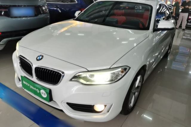 Used BMW 2 Series 2014 220i Leading Model