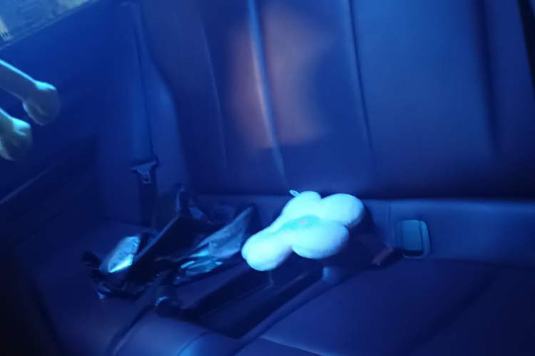 Used BMW 2 Series 2014 220i Leading Model Left Rear Seat