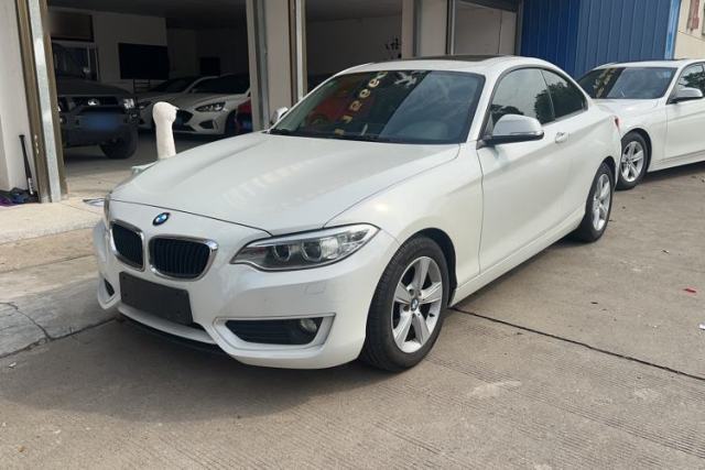 Used BMW 2 Series 2014 220i Leading Model