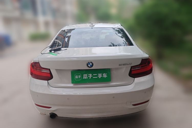 Used BMW 2 Series 2014 220i Leading Model Rear