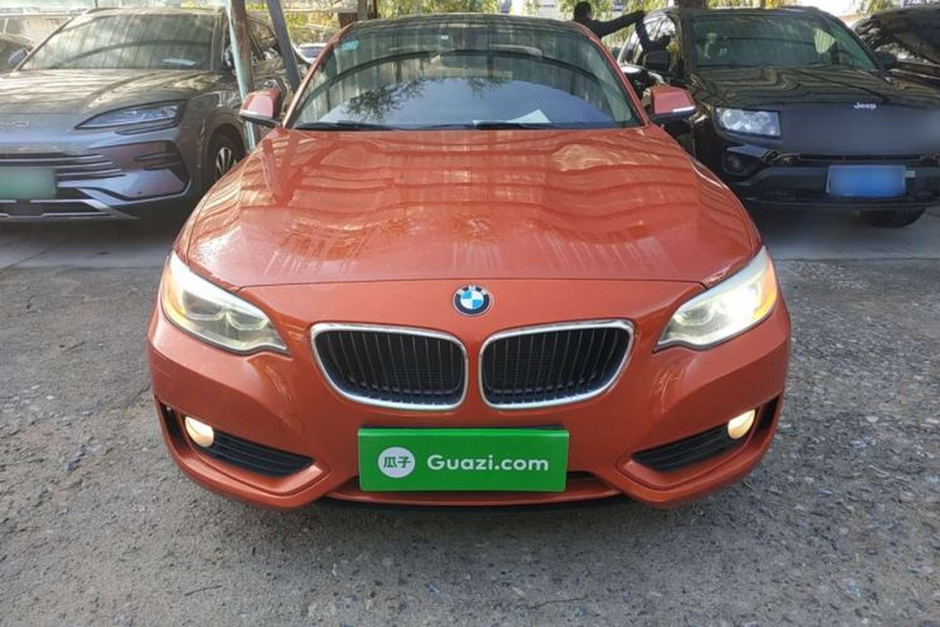 Used BMW 2 Series 2014 220i Leading Model Front
