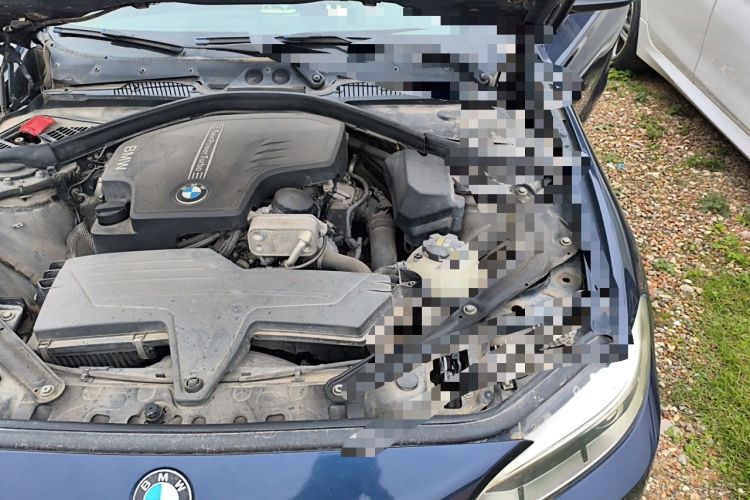 Used BMW 2 Series 2015 220i Convertible Coupe Leading Model Engine Bay Left