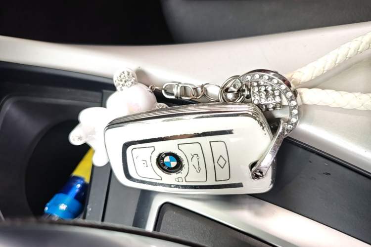 Used BMW 2 Series 2015 218i Convertible Coupe Vehicle Key