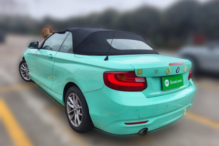 Used BMW 2 Series 2015 218i Convertible Coupe Rear Left 45 Deg