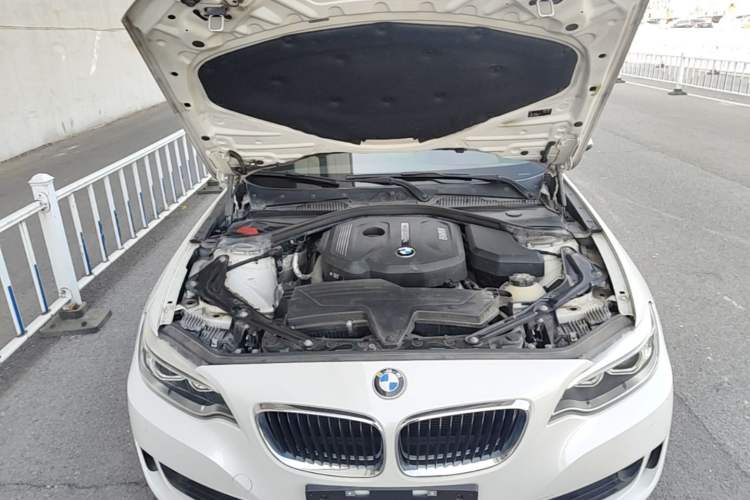 Used BMW 2 Series 2015 218i Convertible Coupe Engine Bay
