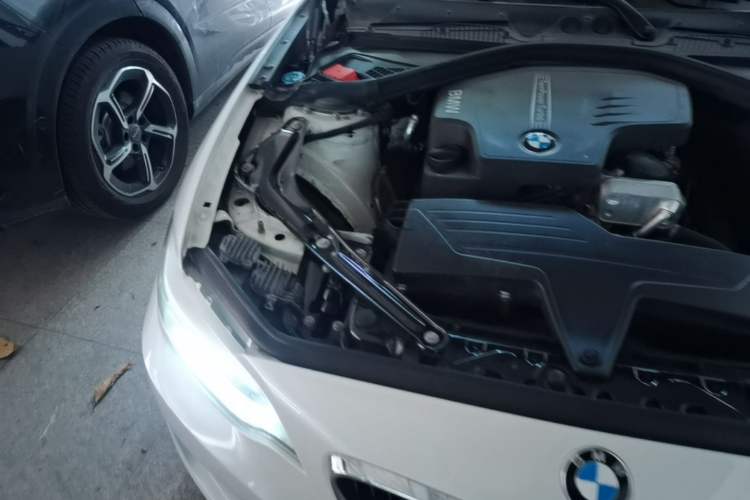 Used BMW 2 Series 2015 220i Convertible Coupe Leading Model Engine Bay Right