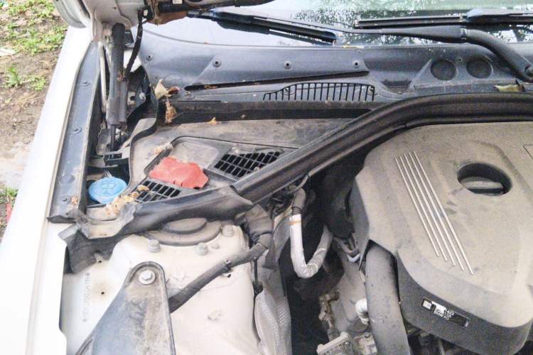 Used BMW 2 Series 2015 218i Convertible Coupe Engine Bay Right